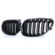 Бодикит и визуални аксесоари RACES решетка (Sport Double Bar) за BMW 5 Series E60 E61 03-10, гланц | race-shop.bg