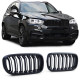 Бодикит и визуални аксесоари RACES решетка (Sport Double Bar) за BMW X5 F15 X6 F16, мат | race-shop.bg