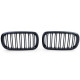 Бодикит и визуални аксесоари RACES решетка (Sport Double Bar) за BMW X5 F15 X6 F16, мат | race-shop.bg