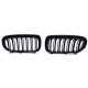 Бодикит и визуални аксесоари RACES решетка (Sport Double Bar) за BMW X5 F15 X6 F16, мат | race-shop.bg
