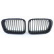 Бодикит и визуални аксесоари Спортна решетка Performance мат за BMW 3 Series E46 Sedan Touring 98-01 | race-shop.bg