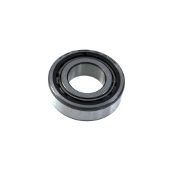 Winters Bearing roller pinion nose