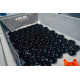 Blow off разтоварващи клапани за определени модели FORGE Blow off за Seat Leon Mk3 2012-2020 Cupra 280 290 300R (E-DV) | race-shop.bg