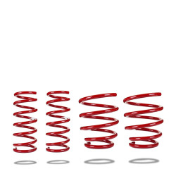 Pedders 803291 Комплект снижаващи пружини Subaru Legacy BM