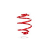Pedders 2935 Sports Ryder Coil Spring