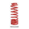 Pedders 290196 Trakryder Coil Spring