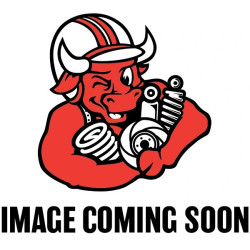 Pedders 202633 Coil Spring