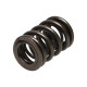 Части за двигателя Manley Valve Spring HONDA H22 V-TEC | race-shop.bg