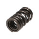 Части за двигателя Manley Valve Spring MITSUBISHI 4G63/T | race-shop.bg