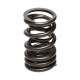 Части за двигателя Manley Valve Spring MITSUBISHI 4G63/T | race-shop.bg