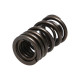 Части за двигателя Manley Valve Spring HONDA K20A/K20Z | race-shop.bg