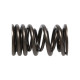 Части за двигателя Manley Valve Spring HONDA K20A/K20Z | race-shop.bg