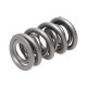 Части за двигателя Manley Valve Spring 1.500 DOUBLE | race-shop.bg