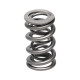 Части за двигателя Manley Valve Spring 1.324 DOUBLE | race-shop.bg