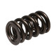 Части за двигателя Manley Valve Spring 1.640 DOUBLE | race-shop.bg