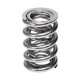 Части за двигателя Manley Valve Spring 1443 POLISHED | race-shop.bg