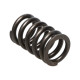 Части за двигателя Manley Valve Spring HONDA K20A3/K24A | race-shop.bg