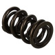 Части за двигателя Manley Valve Spring 1.650 DOUBLE | race-shop.bg