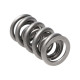 Части за двигателя Manley Valve Spring 1.522 DOUBLE | race-shop.bg