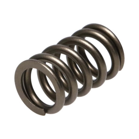 Части за двигателя Manley Valve Spring NISSAN PATROL TB48 | race-shop.bg