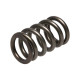 Части за двигателя Manley Valve Spring DODGE SRT-4 | race-shop.bg