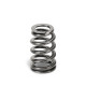 Части за двигателя SUPERTECH Valve Spring Set BMW S85 | race-shop.bg