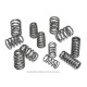 Части за двигателя SUPERTECH Valve Spring Set BMW S85 | race-shop.bg