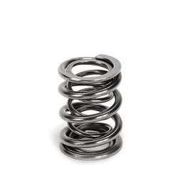 SUPERTECH Valve Spring Set BMW M42 / Honda B/K series