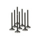 Части за двигателя SUPERTECH Valve Kit Exhaust Subaru EJ25 32.00mm (Std) Inc | race-shop.bg