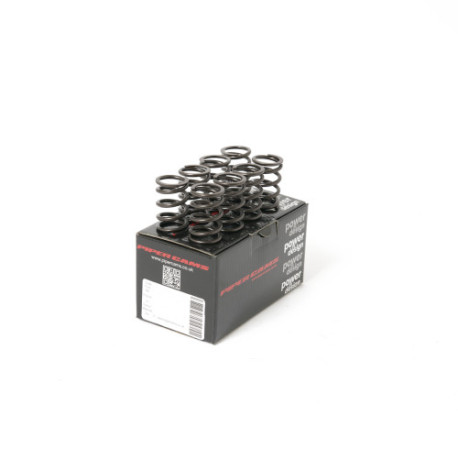 Части за двигателя Piper Single Valve Springs Opel C12/C13/C14/C16 GSI | race-shop.bg