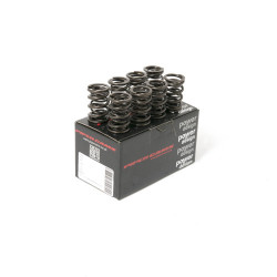 Piper Double Valve Spring Kit Volvo B18