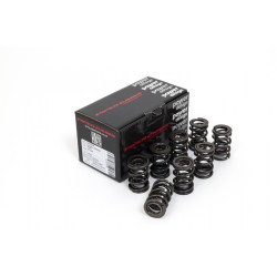 Piper Double Valve Springs Ford 1.3/1.6L XFLOW/PRE-XFLOW