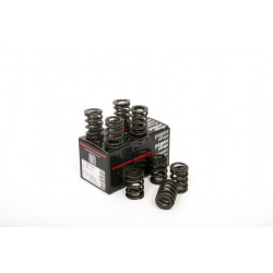 Piper Double Valve Springs Fiat 1.6/1.8/2.0L Twin Cam