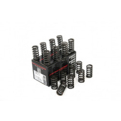 Piper Single Valve Springs Ford 1.6L Ecoboost