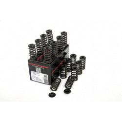 Piper Single Valve Spring Kit Ford 1.6L Ecoboost
