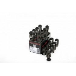 Piper Single Valve Spring Kit Inc Caps Ford 2.0L 16v ST170