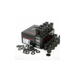 Piper Double Valve Spring Kit Ford 2.5L 20v - ST/RS