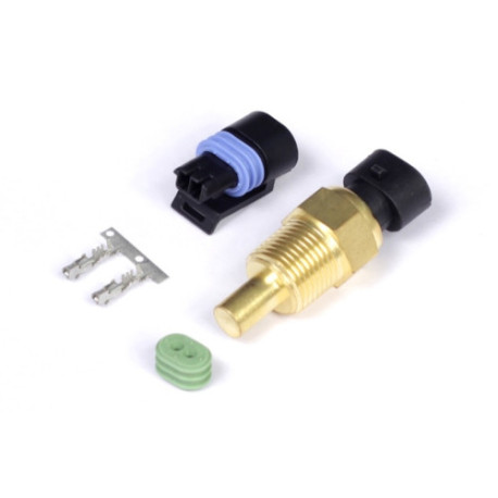 Motec Haltech Coolant Temp Sensor - Large Thread 3/8 NPT 18TPI | race-shop.bg