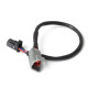 Haltech Haltech CAN Ada Cable DTM-4 F to 8 pin Black Tyco 75mm (3") | race-shop.bg