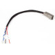 Haltech Haltech CAN Adaptor Loom (DTM-4 to JST 5pin) Suits Link Plug | race-shop.bg