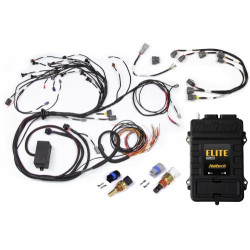 Haltech RB Twin CAM Elite 2500 ECU, Main Harn, CAS Breakout,