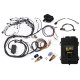 Motec Haltech RB Single Cam Elite 2500 ECU Harness Kit | race-shop.bg