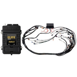 Haltech Elite 2500 GM GEN IV LS2 non DBW Term Harn Kit EV6