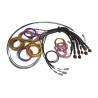 Haltech Nexus R5 Basic Universal Wire-In harness- 5M (16')