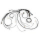 Haltech Haltech Nexus Rebel LS Terminated Harness for Rebel LS ECU | race-shop.bg