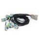 Haltech Haltech Nexus Rebel LS - LS EV6 Injector Sub Harness | race-shop.bg
