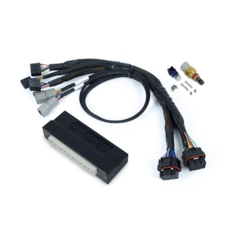 Haltech Haltech Nexus S3 PnP Adaptor Harness Subaru WRX MY06-10 | race-shop.bg