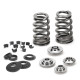 Части за двигателя SUPERTECH Valve Spring Kit Ford/Mazda 2.0L/2.3L Duratec/EcoB | race-shop.bg