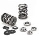 Части за двигателя SUPERTECH Valve Spring Kit Mini Tritec | race-shop.bg