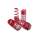 MTS Technik komplet Lowering springs MTS Technik BMW X5 (E70) 07/09 - 07/13, 35 mm / - | race-shop.bg